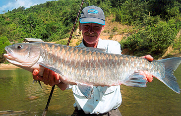 Record photograph for Neolissochilus stracheyi